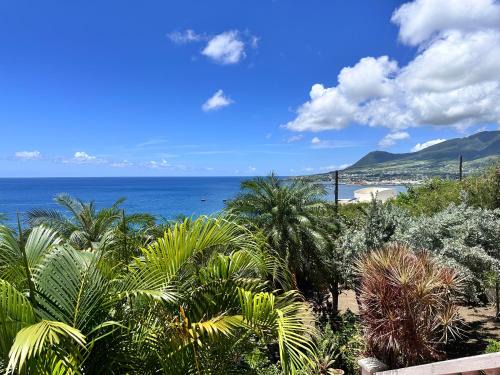 Frigate Bay Apartment | Krysta's Hideaway