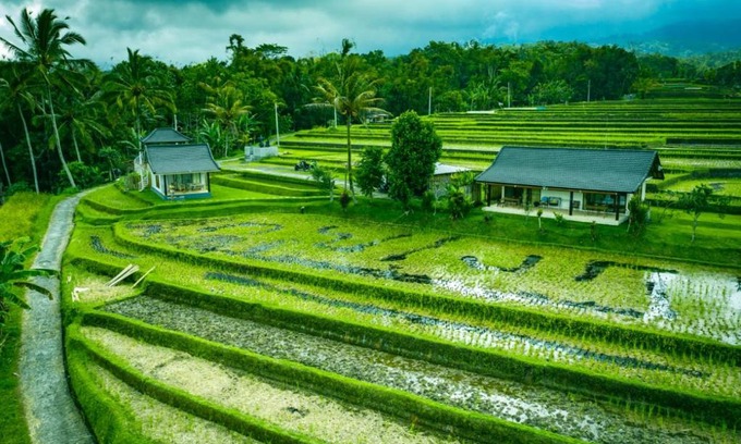 Penebel House | KUBU D'UME HOMESTAY
