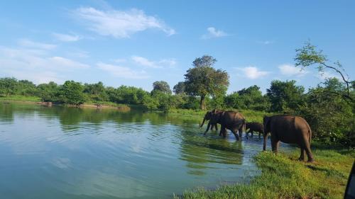 Sevanagala House | Kuma Safari Lodge