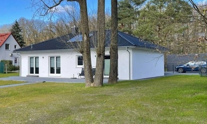 Betzigerode House | Löwe, Sylvia & Teo - Haus Simba