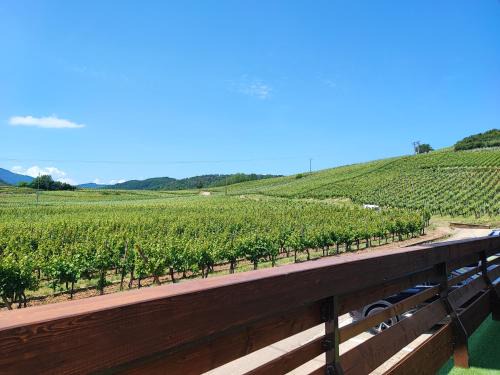 Bergheim Apartment | L'Altenberg