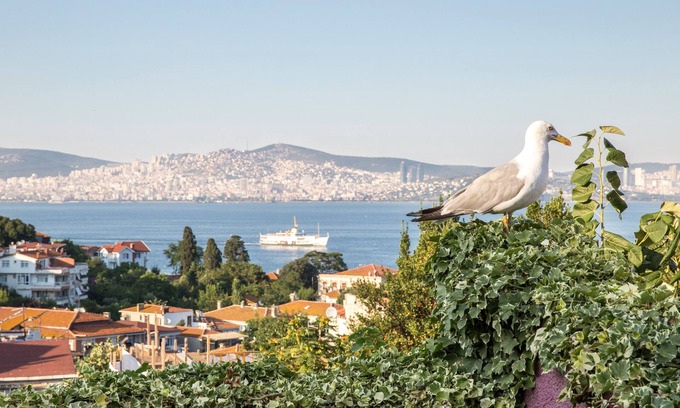 Adalar House | L'isola Guesthouse - Adults Only