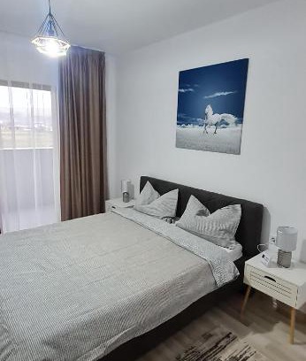 Bistrita Apartment | La Andrei