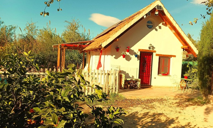 La Nora House | La Barraca de Ro - House in the orchard of Murcia with pool and garden.