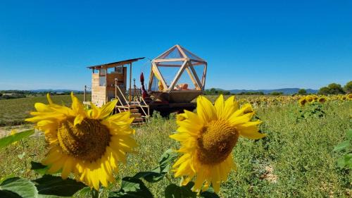 Valensole Other | La bulle ico