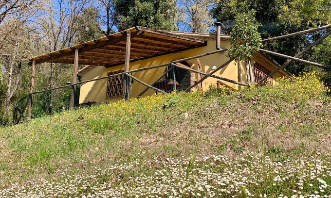 Montescudaio Apartment | La Capinere 2 2