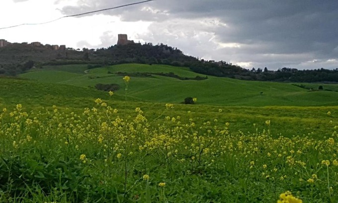 Castiglione d'Orcia House | La Casa del susino