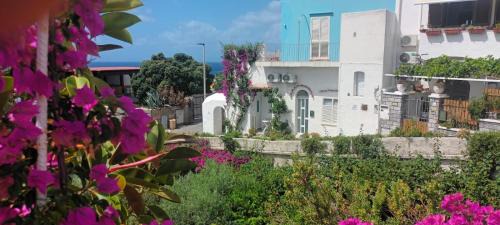 Sant'Angelo House | La Casa di Tina