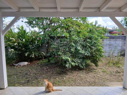 Sainte-Rose Apartment | La casa