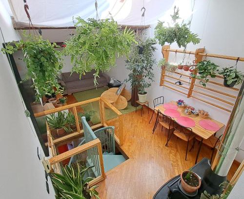 Venezia Nuova Apartment | la casa verde nel centro storico