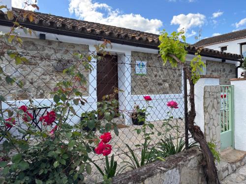 Jimena de la Frontera House | La casa vieja de Marchenilla