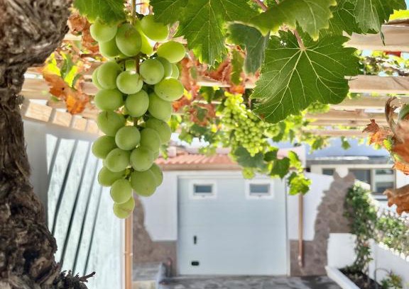 Tamaduste House | La Casita de la Parra, El Hierro
