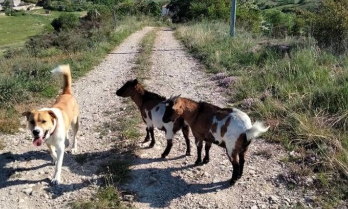 Chomerac Bed & Breakfast | La Grange de Sabatas, Room La Payre