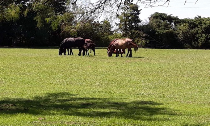 Villa Nueva Resort | La Isolina Club de Campo