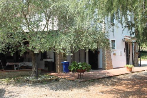 Montemiletto House | La Masseria