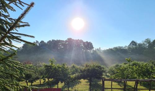 Brebu House | La Pădure