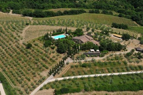Castellina in Chianti Apartment | La Pergola