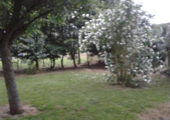 Domvast House | La Petite Chartreuse