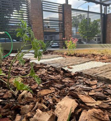 Alta Gracia House | La Petrona