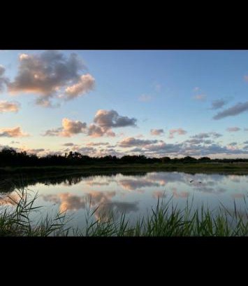 Grayan-Et-L'Hopital House | La Tonne du Médoc gîte insolite