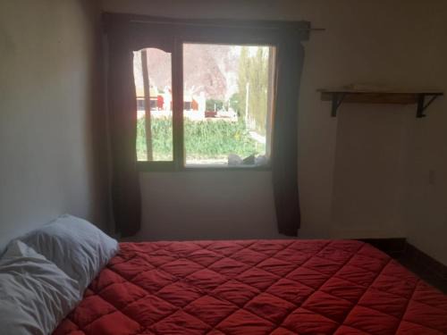 Tilcara Apartment | La torcaza