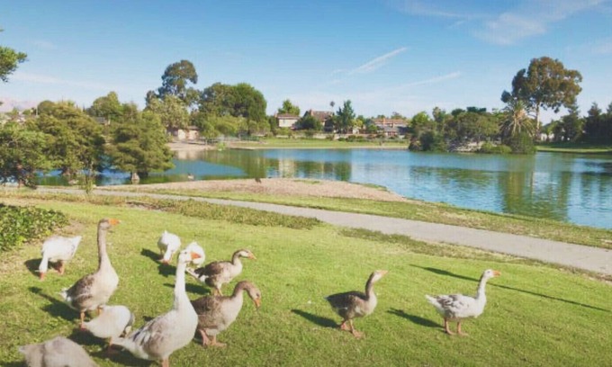 Lake Area House | Lake front; New 65 smart TV;New refrigerator; New dishwasher