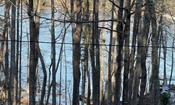 Gainesville House | Lake Lanier House 1