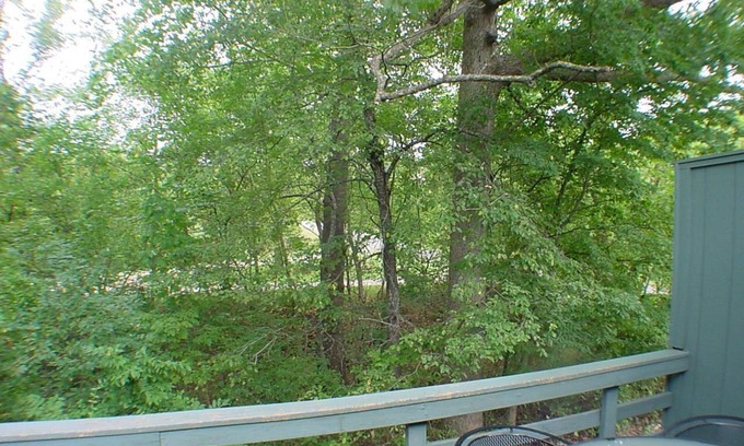 Holiday Island Condo | Lakeside, King Beds, Fireplace!