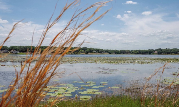 Fruitland Park House | Lakeview+ Shuffleboard Bowling + Wildlife Spotting