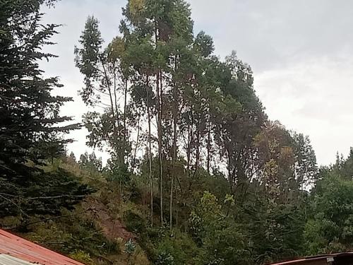 Puerto Inca Cabin | Land incas Cochahuasi lodge