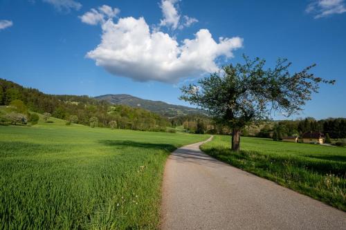 Wolfsberg Apartment | Landhaus Apartment