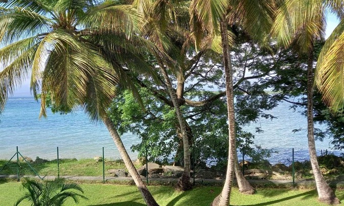 Pointe-a-Pitre Apartment | Large, cosy studio with sea view, pool and beach