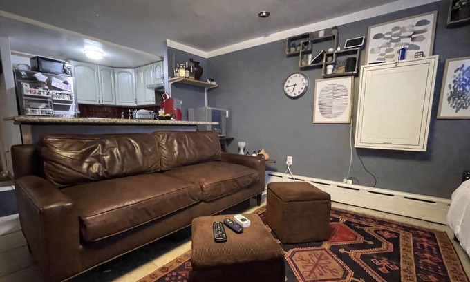 Gowanus Apartment | Large Park Slope 1 Bedroom apartment with backyard access