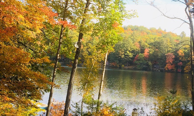 Dryden Cabin | Last escape before holidays-privacy-hot tub-lakeside log cabin for 6, 3bed 2bath