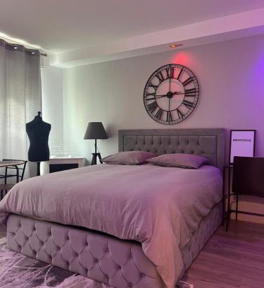 Neudorf Ouest Apartment | LE CARRÉ STRASBOURGEOIS - LOGEMENT ENTIER AU CENTRE DU NEUDORF f1