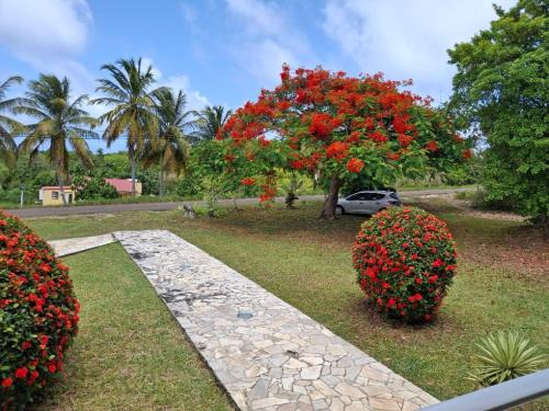 Saint-Louis House | Le Flamboyant