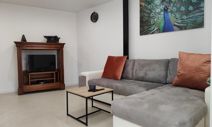 Rouffach Apartment | Le gîte des Orfèvres