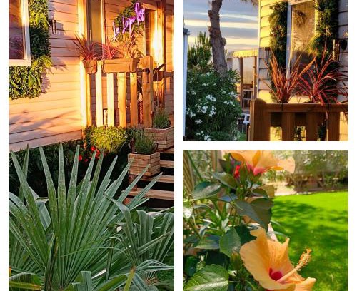 Canet-Plage Other | Le Lagon Rose nice bungalow Camping SIBLU le Mar Estang Canet-en-Roussillon, 2 rooms, 2 bathrooms, 2 TV, free WIFI, sheets & towels included, beach at 5 mn walk