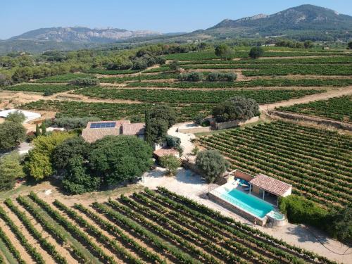 Beaumes-de-Venise Bed & Breakfast | Le Mas de l'Evajade
