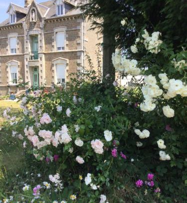 Passais-Villages Bed & Breakfast | Le Presbytère Chambre D'Hôtes