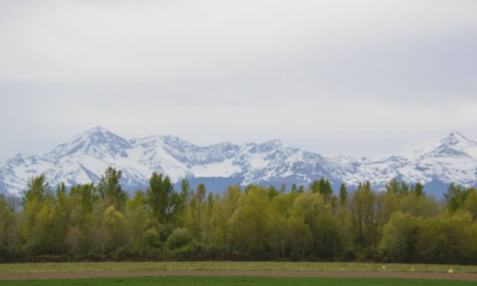 Tarbes Apartment | Le PYRENEA (Ministerial classification) Quiet near the center. Proximity to Adour.