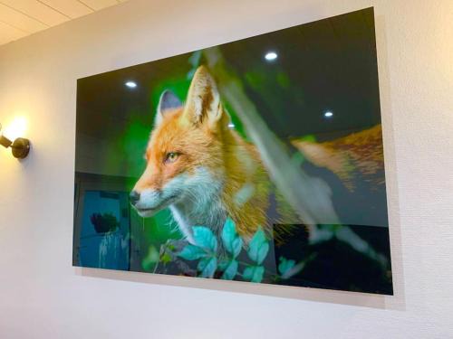 Dabo Apartment | Le Terrier du Katz