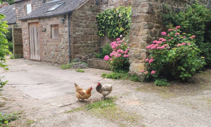 Cheddleton Cottage | Lee House Cottage
