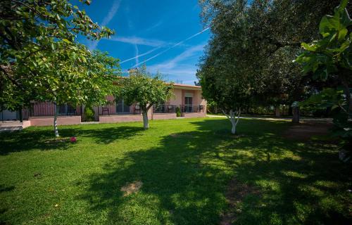 Zalongo Apartment | Lemi Apartments