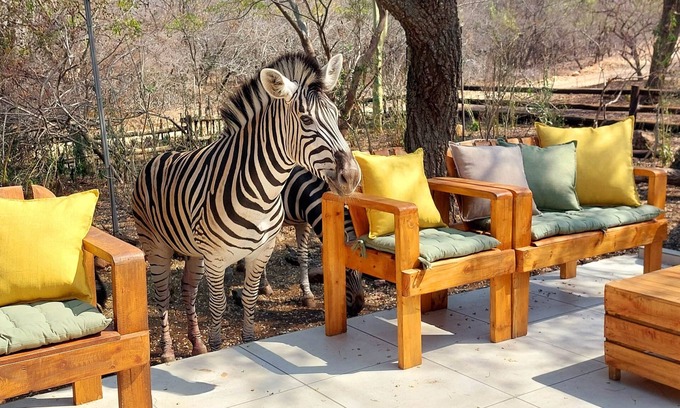 Marloth Park House | Lenny's Den - meet the wildlife!