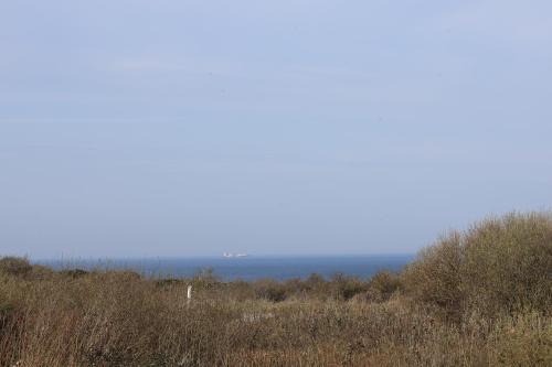 Wimereux Apartment | Les 4 oies - Wimereux