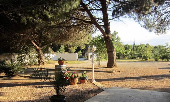 Saint-Cyprien Apartment | Les Cerisiers 5 people in St Cyprien near Collioure. Quiet and sea WiFi.