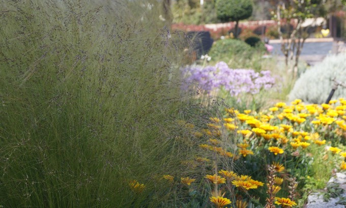 Santa Giulia House | Les Jardins De Santa Giulia - Charmante chambre d'hôte