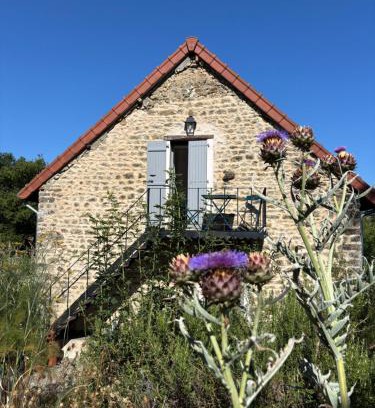 Rouy House | Les Musardises