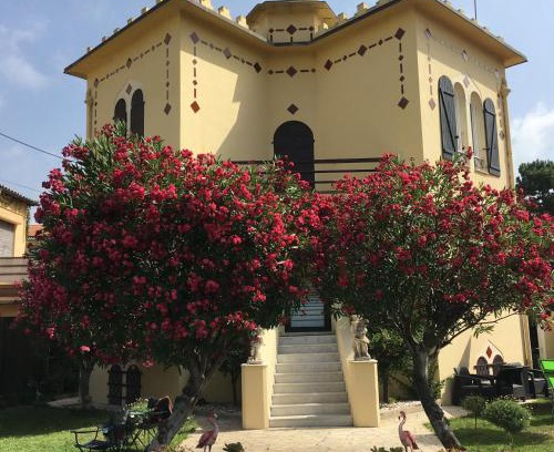 La Californie Apartment | Les palmiers